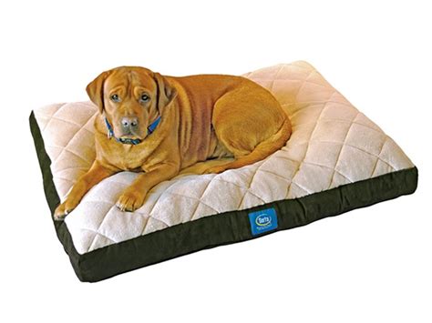 Serta Pillowtop Orthopedic Pet Bed-Green-XL