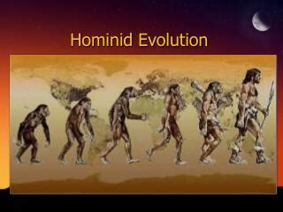 PPT - Hominid Evolution & Classification PowerPoint Presentation - ID:2062051