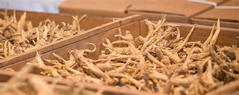 Wholesale Ontario Ginseng Growers Association