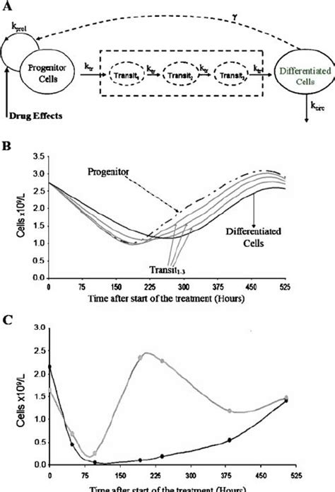 A Semi Mechanistic Model Of Neutropenia Proposed By Friberg Et Al