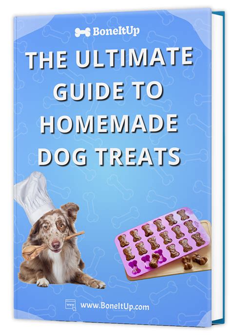 Boneitup The Ultimate Guide To Homemade Dog Treats