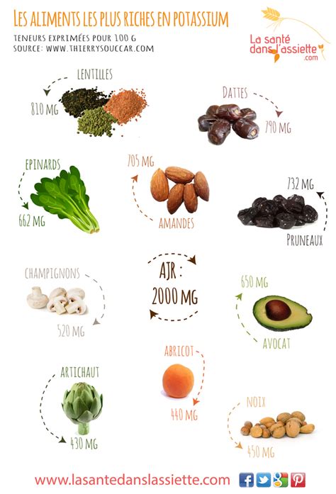 La Santé dans l Assiette Fiche pratique Les aliments les plus riches