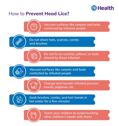 Head Lice Symptoms Causes And Treatment