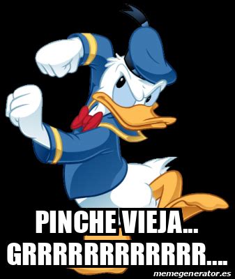 Meme Personalizado Pinche Vieja Grrrrrrrrrrrr 32372683