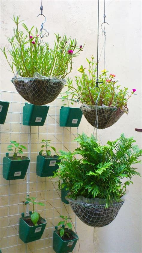 Hanging Plants Outdoor Philippines