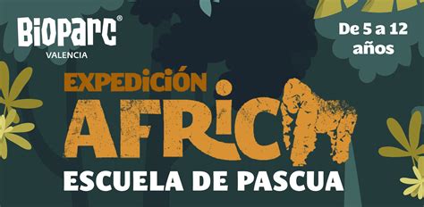 Escuela De Pascua Expedici N Frica De Bioparc Valencia Peque Os H Roes