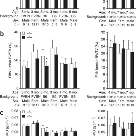 Bone Mass In WT And Tph1 Mice A Graphs Depicting Femoral