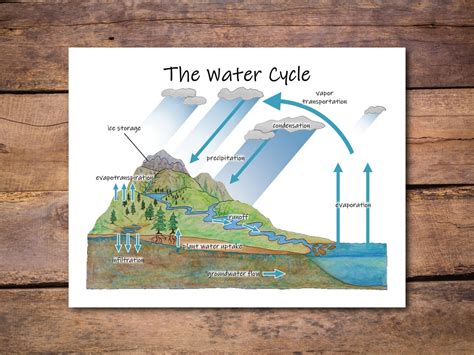 The Water Cycle Diagram: Printable Classroom Poster, Earth Science ...