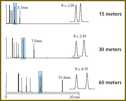 Column Gas Chromatography