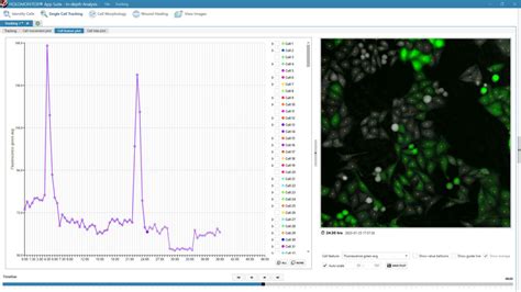 Single Cell Tracking Assay Holomonitor® Live Cell Assay Phi