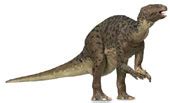 Iguanodon Facts for Kids - Interesting Dinosaur Information