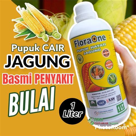 Jual Pupuk Hayati Jagung POD Umur 1 Bulan Fungisida FLORAONE Cair