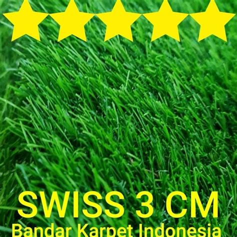 Jual KARPET RUMPUT SINTETIS SWISS PREMIUM TEBAL 3 CM PADAT RIMBUN