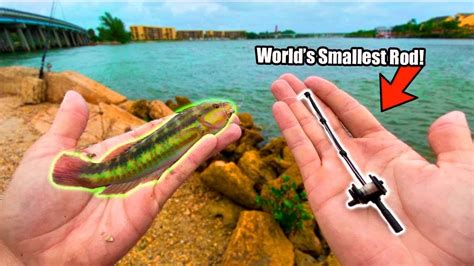 World S Smallest Fishing Rod Catches Tropical Aquarium Fish