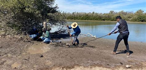 Cierran Toma Clandestina De Huachicoleo De Agua En Huatabampito No