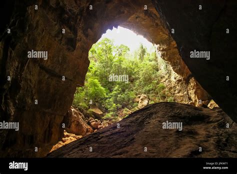 Bat Cave Stock Photos & Bat Cave Stock Images - Alamy