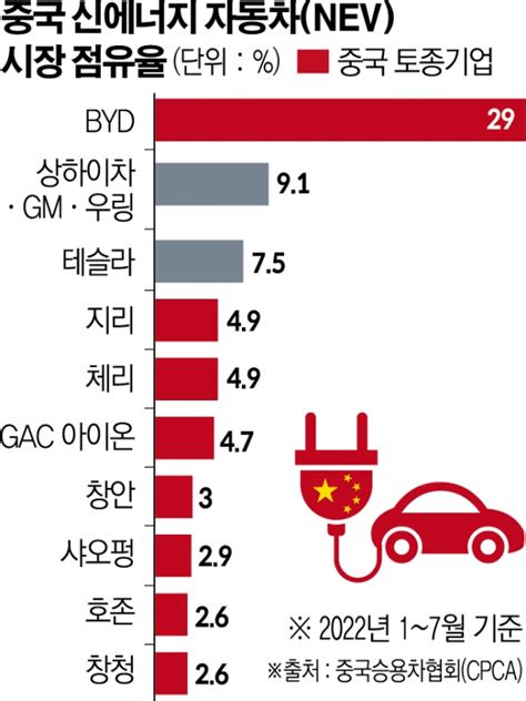 글로벌 자동차 기업 토종기업 약진에 중국 전기차 시장서 입지 좁아진다 이투데이