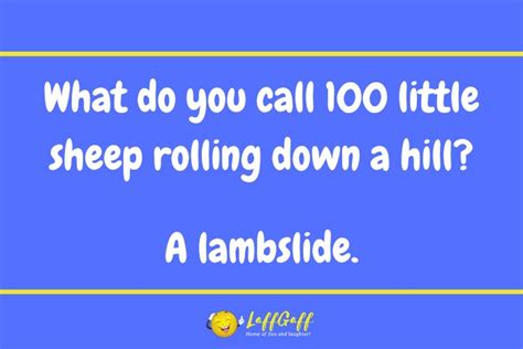 Funny Rolling Sheep Joke Laffgaff Home Of Laughter