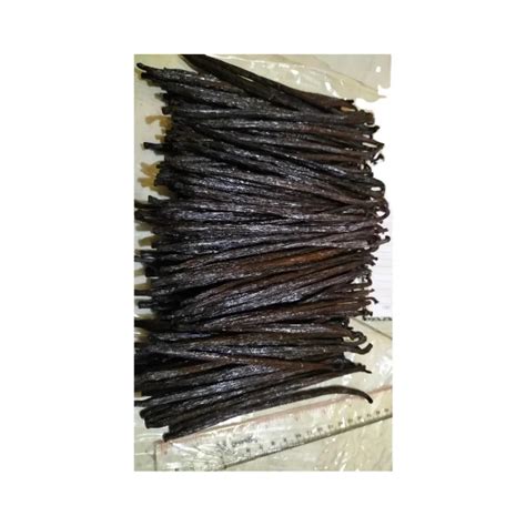 High Quality Planifolia Gourmet Vanilla Beans Agriculture Products