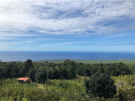 RC Kona Coffee | Experience Premium Kona Coffee Today