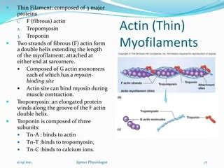 Function Of Tropomyosin