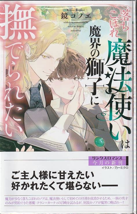 【目立った傷や汚れなし】★小冊子あり 落ちこぼれ魔法使いは魔界の獅子に撫でられたいの落札情報詳細 ヤフオク落札価格検索 オークフリー