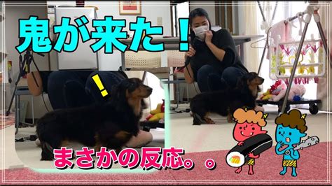 突然、鬼が来た時の犬の反応がまさかすぎた！ 777 Youtube