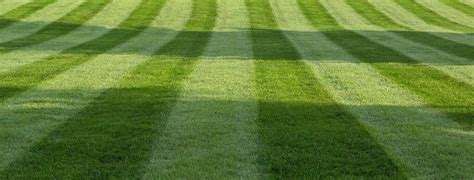 Best 10 Lawn Mower For Stripes & Buyers Guide Information - Justagric