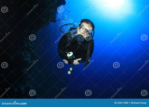 Scuba Diver Stock Photo Image Of Dahab Tropical Nature 22617482