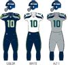 seattle seahawks american football wiki fandom
