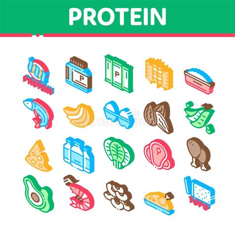 Protein Food Nutrition Minimal Infographic Banner Vector Stock Vector