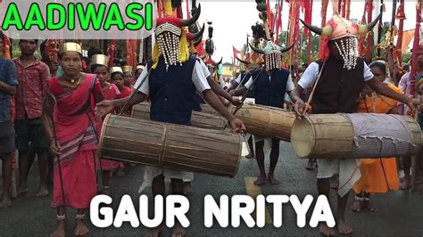 Gaur Nritya Aadiwasi Bastar Desi Footage Youtube