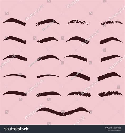 Eyebrow Shapes Various Types Eyebrows Classic Stock Vector Royalty Free 2183998051 Shutterstock