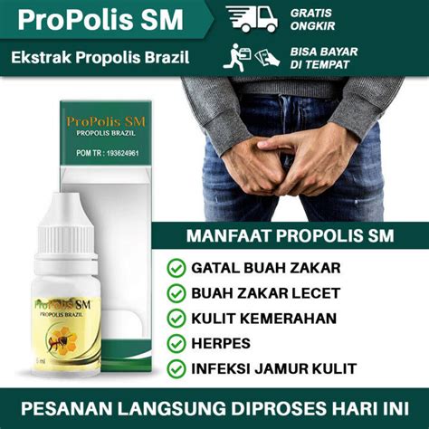 Propolis Sm Obat Oles Gatal Kulit Buah Zakar Testis Lecet Perih