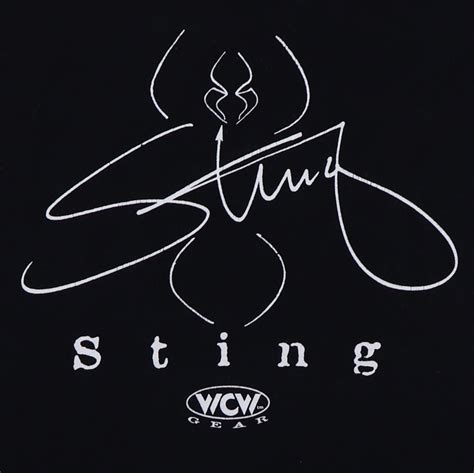 1990s Sting WCW Shirt – WyCo Vintage