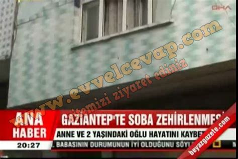 6 Sınıf Fen Bilimleri Ders Kitabı Sayfa 145 Cevapları Anadol Yayıncılık