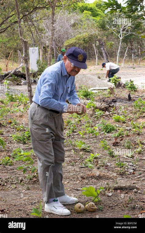 Los Agricultores Que Trabajaban En La Zona Rural En La Provincia De