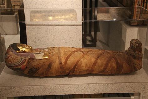 Ancient Egyptian Mummification History And Archaeology Online