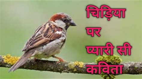 Hindi Kavita On Chidiya चिड़िया पर प्यारी सी कविता Poem On Birds Motivational Kavita Youtube