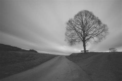 Free Images Landscape Tree Nature Snow Winter Light Cloud