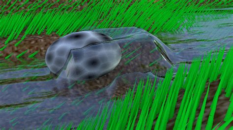 3D River Model - TurboSquid 1281294