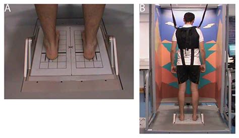 Computerized Dynamic Posturography For Postural Control Assessment In