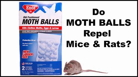 Do Moth Balls Repel Mice Mousetrap Monday Moth Mice Control Rat