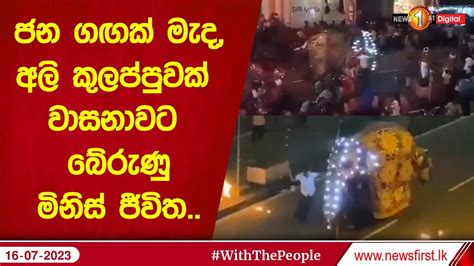 ජන ගඟක් මැද අලි කුලප්පුවක් වාසනාවට බේරුණු මිනිස් ජීවිත Youtube