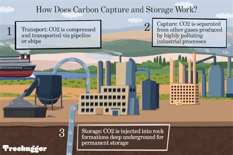 What Is Carbon Capture And Storage Ccs