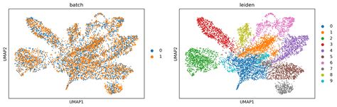 Integrate Multiple Spatial Transcriptomics Datasets — Stlearn 0410