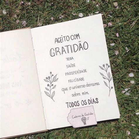 Diário De Gratidão O Poder Da Gratidão Palavras De Afirmação