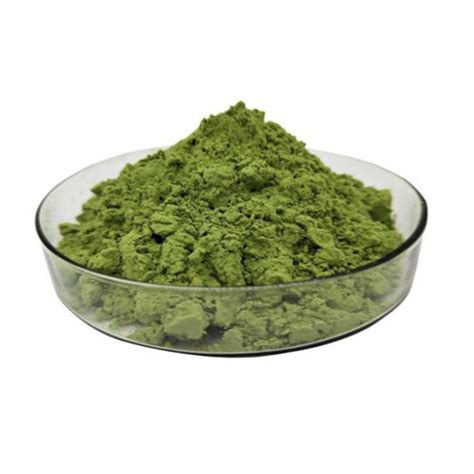 Moringa Oleifera Leaf Extract Powder Plant Extracts Manufacturer