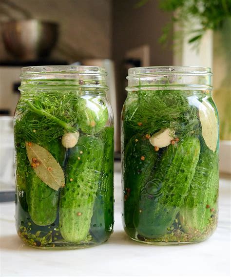 Homemade Fermented Dill Pickles Taste Of Artisan