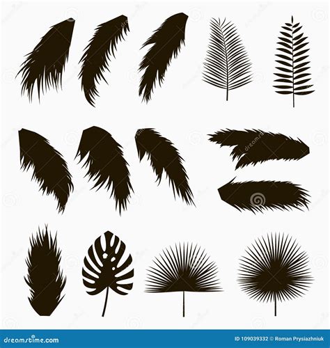 Silhouettes Of Tropical And Palm Leaves Set Of Isolated Jungle Exotic